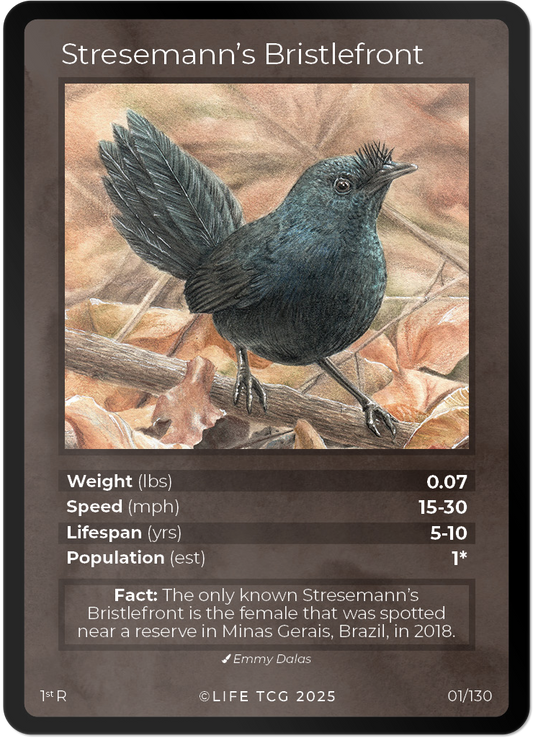 Stresemann's Bristlefront