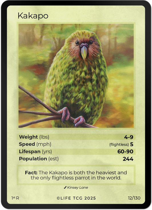 Kakapo