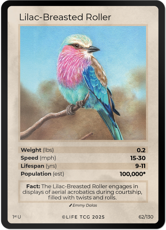 Lilac-Breasted Roller