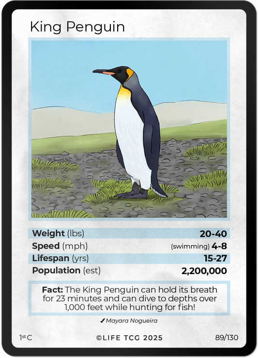 King Penguin
