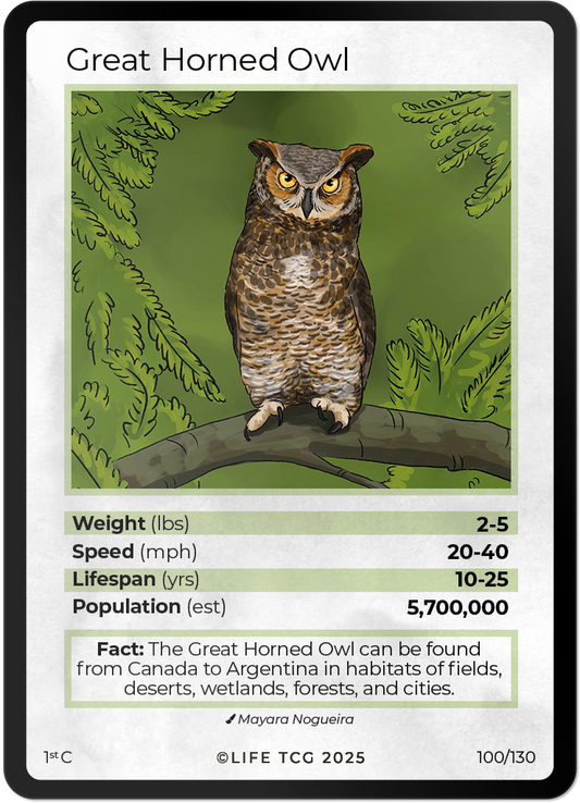 Great Horned Owl