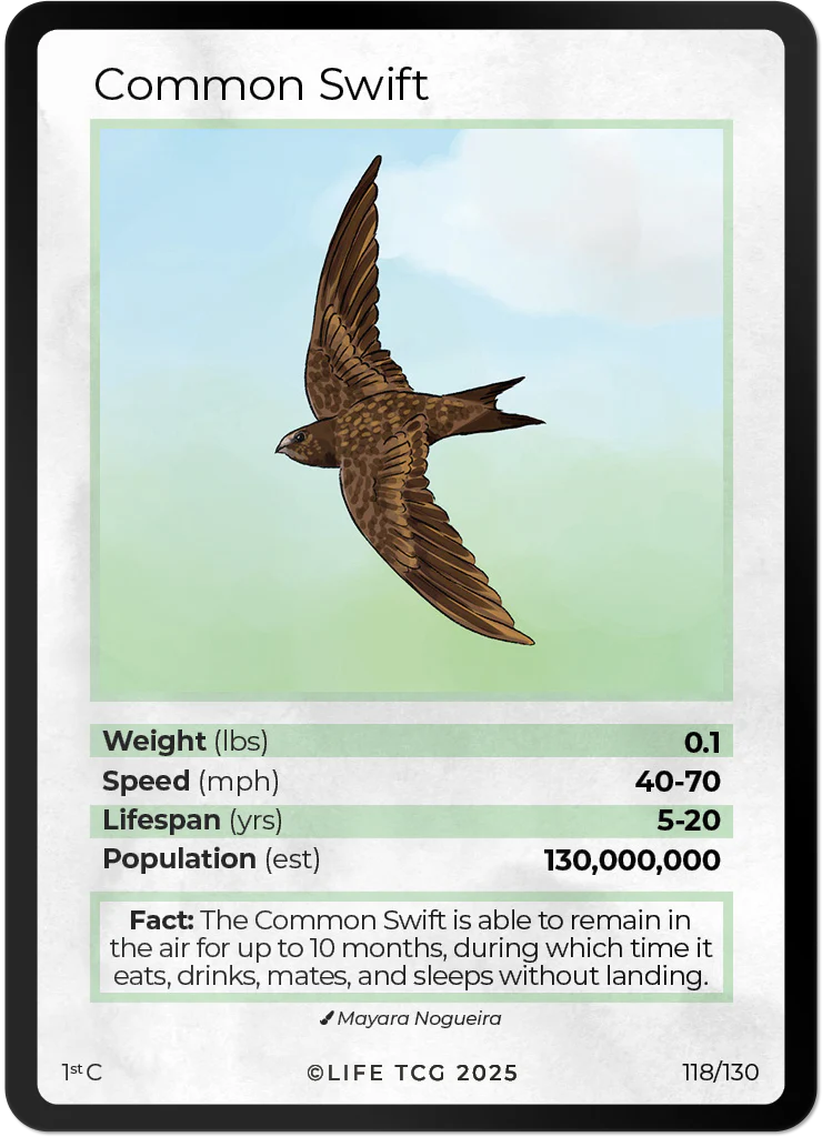 Common Swift