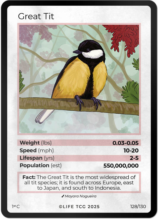 Great Tit