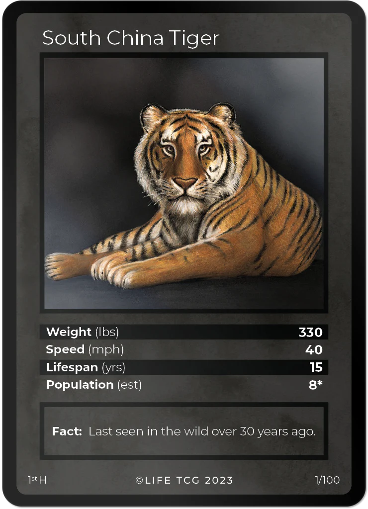 South China Tiger