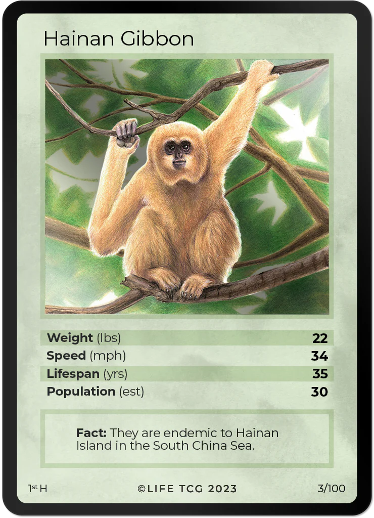 Hainan Gibbon