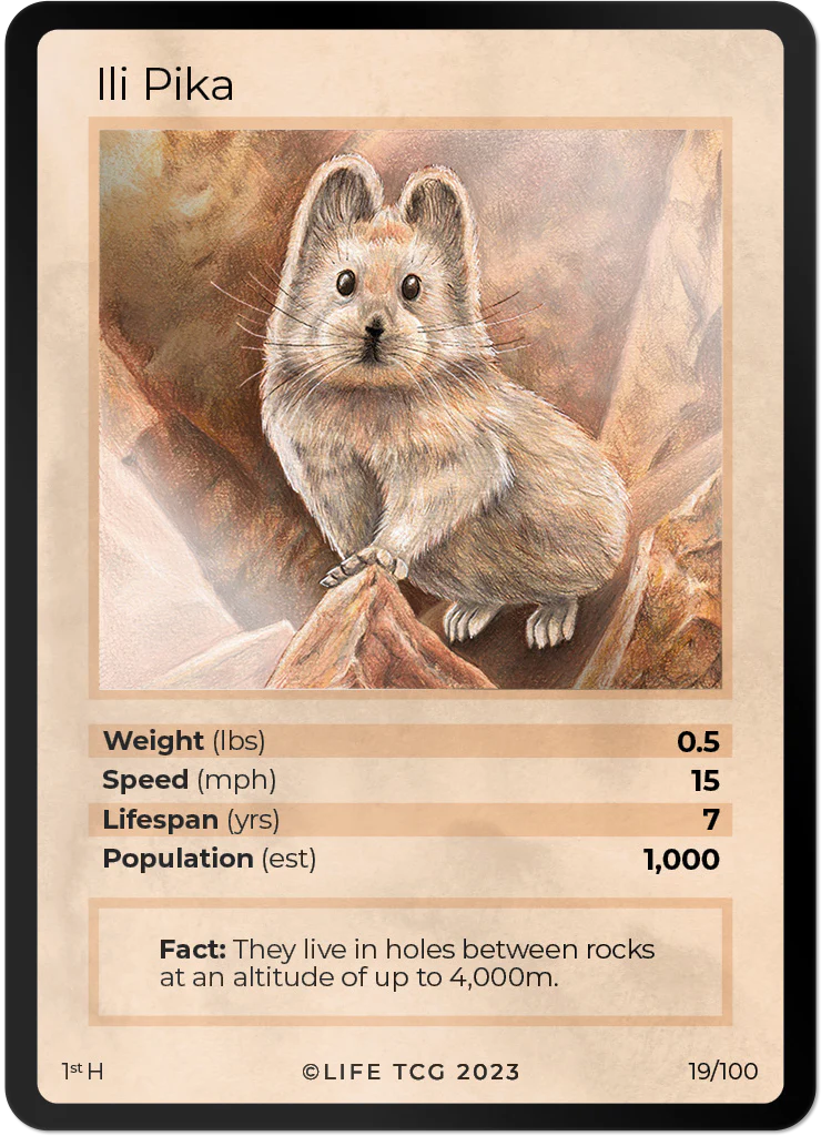 Ili Pika