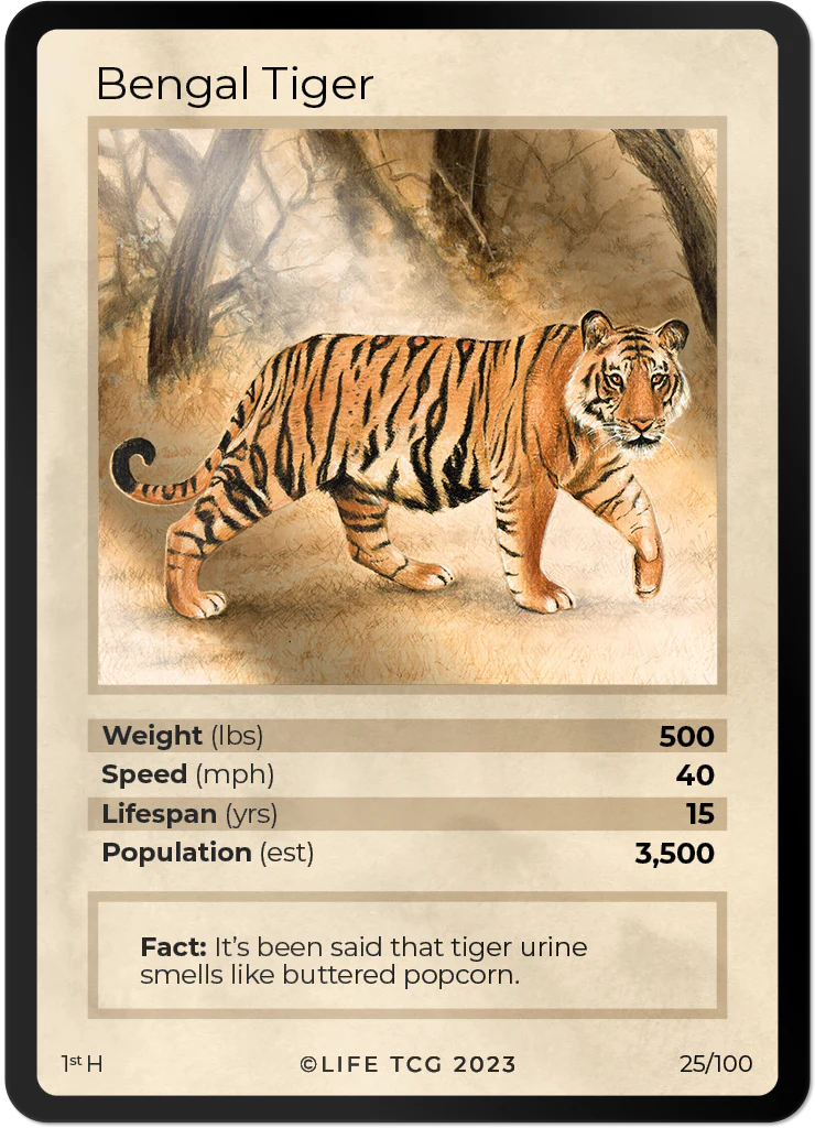 Bengal Tiger