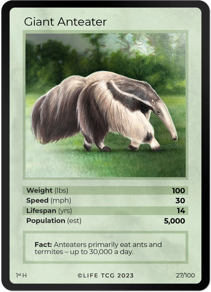 Giant Anteater