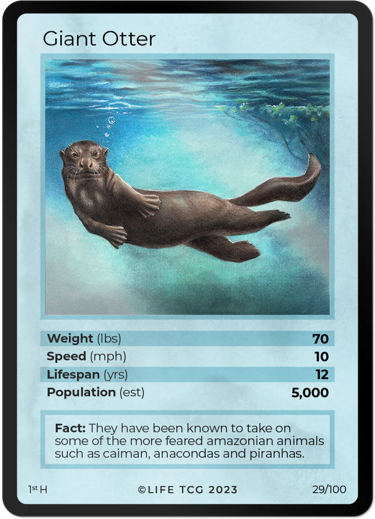 Giant Otter