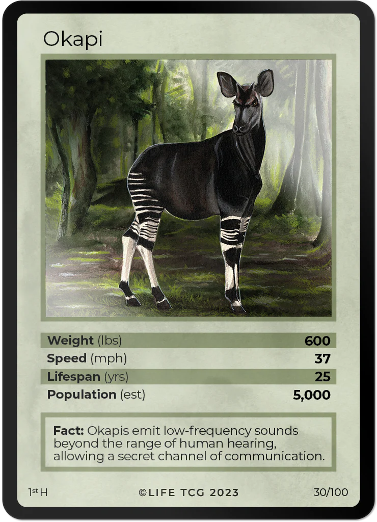 Okapi