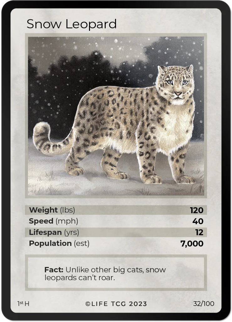 Snow Leopard