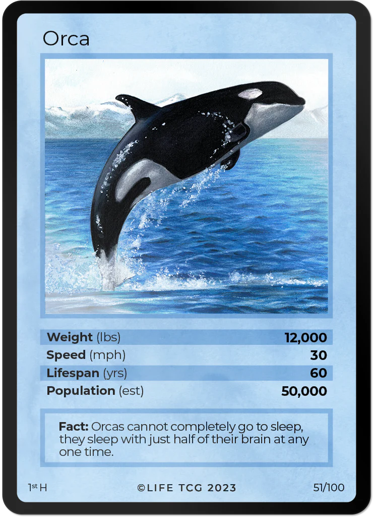 Orca