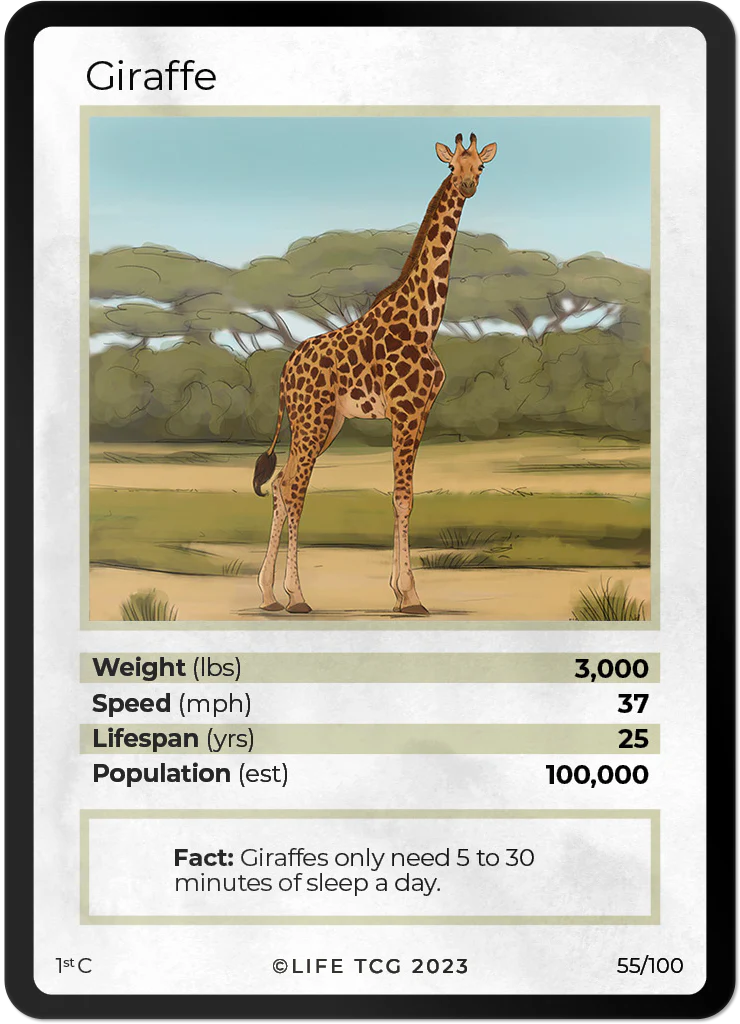 Giraffe