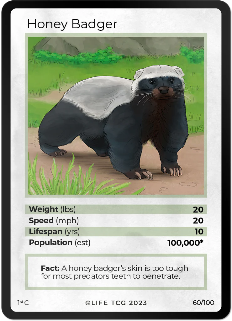 Honey Badger