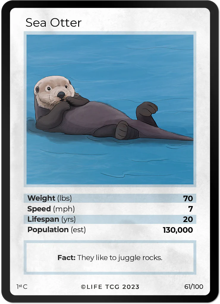 Sea Otter