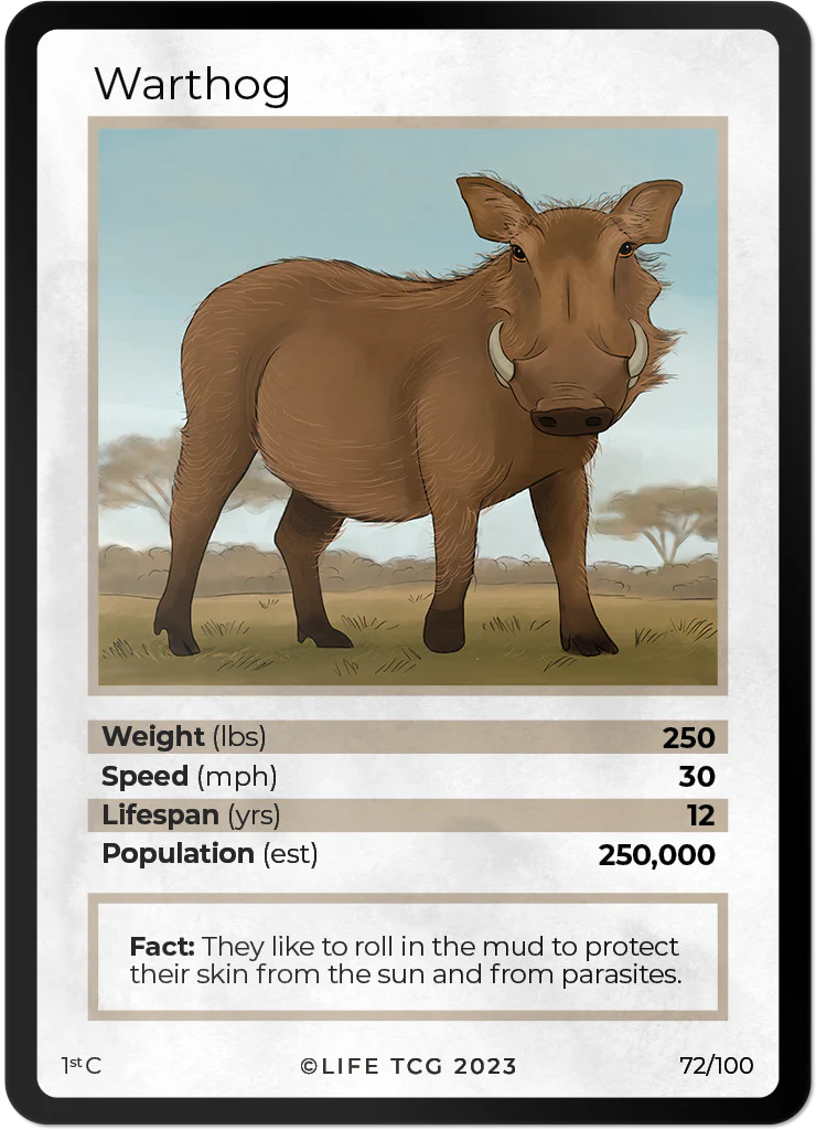 Warthog