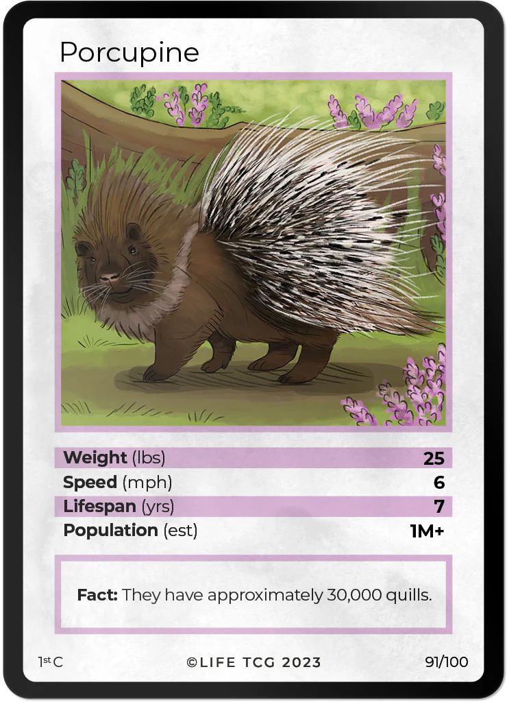 Porcupine