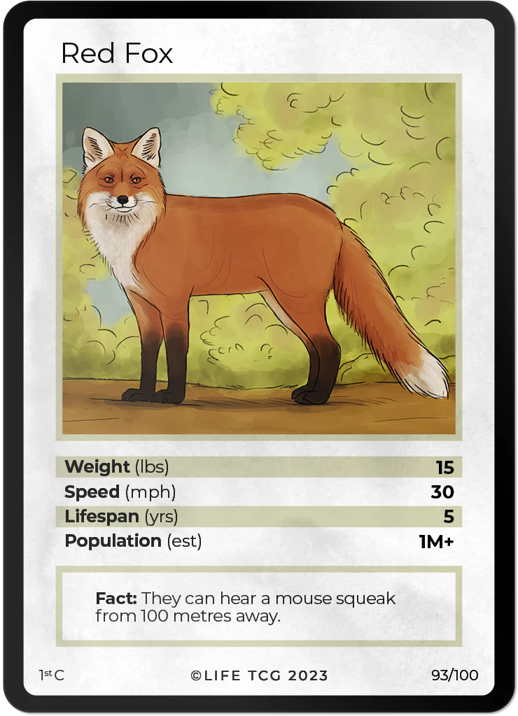 Red Fox