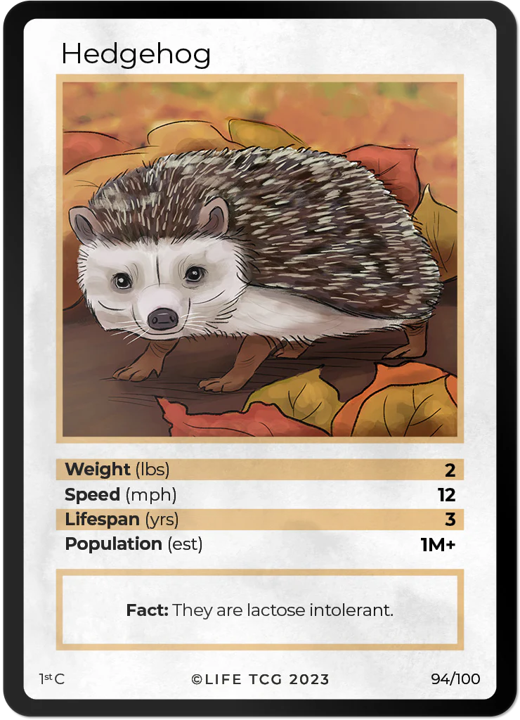 Hedgehog