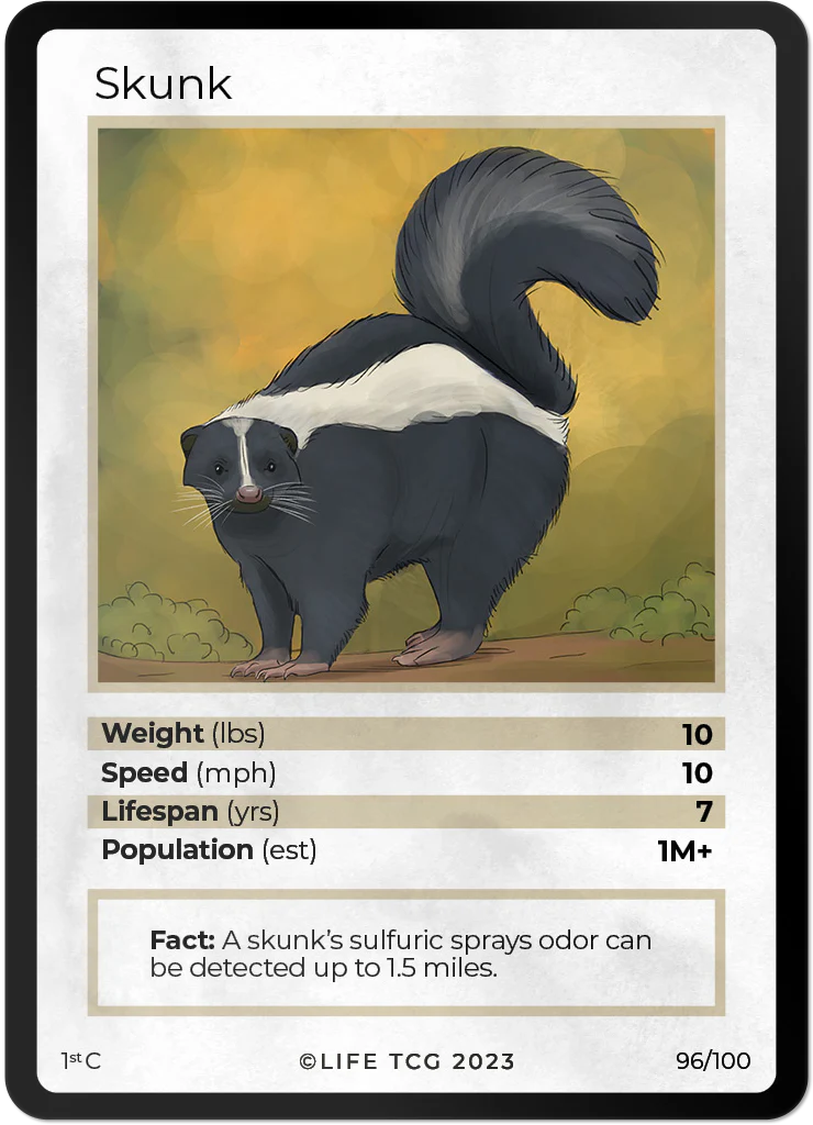 Skunk