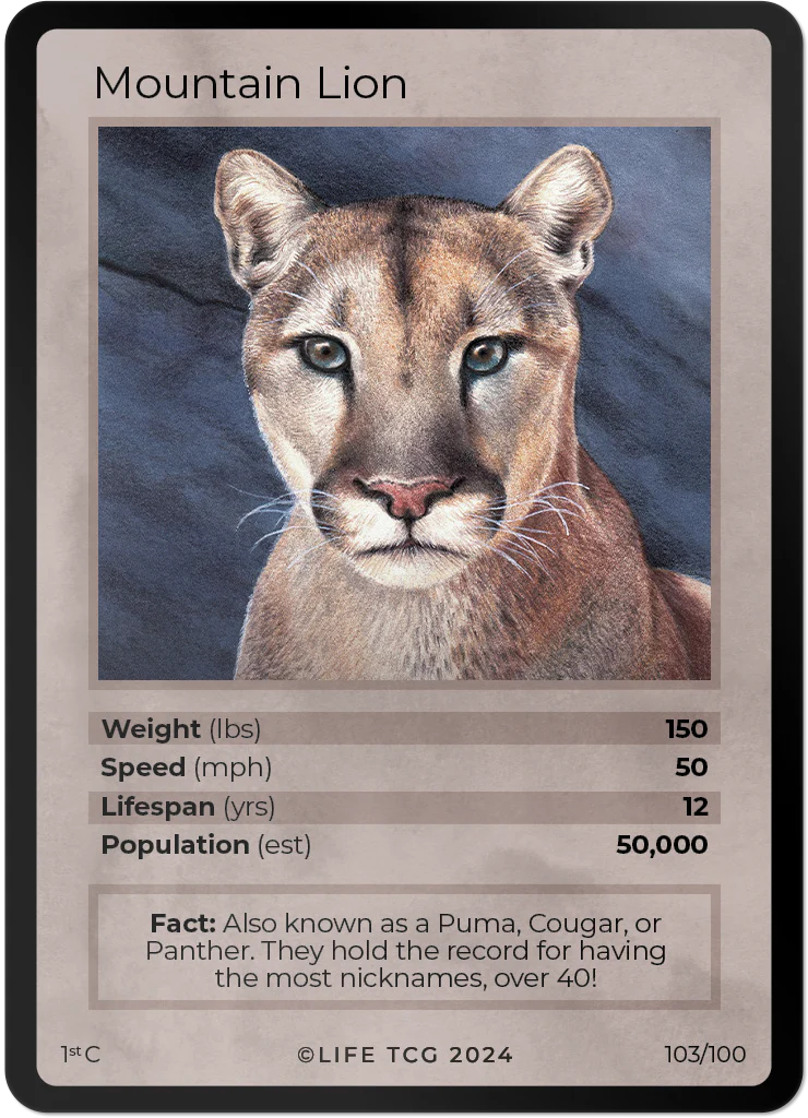 Mountain Lion